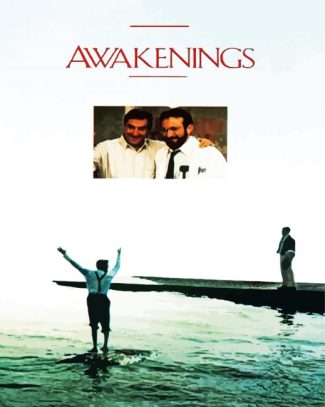 Awakening Movie Poster diamond painting