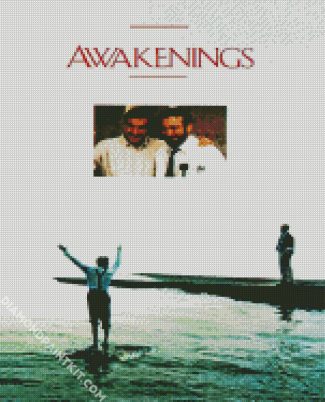 Awakening Movie Poster diamond painting