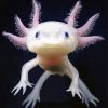 Axolotl Amphibian Animal diamond painting