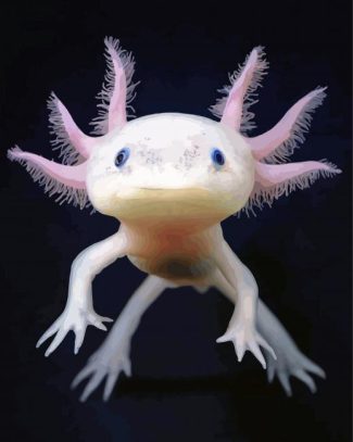 Axolotl Amphibian Animal diamond painting