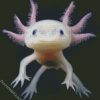 Axolotl Amphibian Animal diamond painting