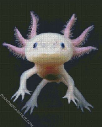 Axolotl Amphibian Animal diamond painting