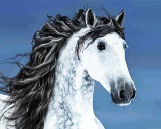 Beautiful Andalusian Horse diamond painting