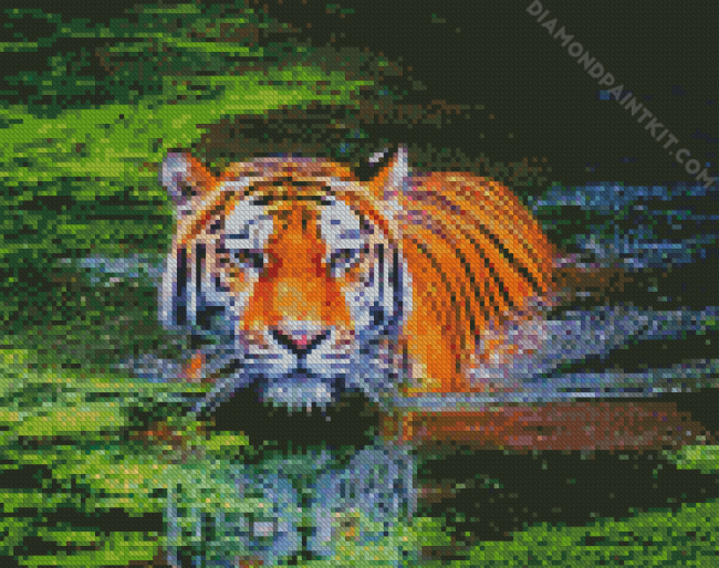 Bengal Tiger Swimming diamond painting