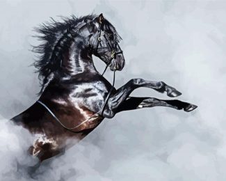 Black Andalusian Horse And Smoke diamond painting