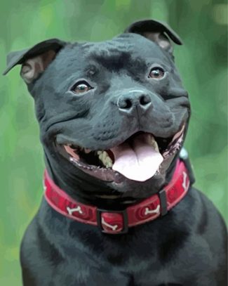 Black Staffordshire Bull Terrier Smiling diamond painting