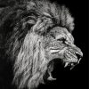 Black And White Roaring Lion diamond painting