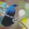 Blue Mockingbird diamond painting