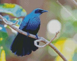 Blue Mockingbird diamond painting