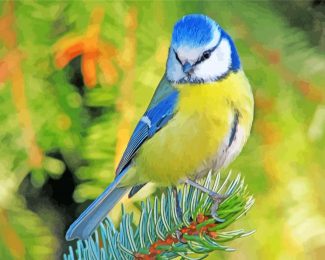 Blue Tit Bird diamond painting