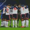 Bolton Wanderers Fc Players diamond painting