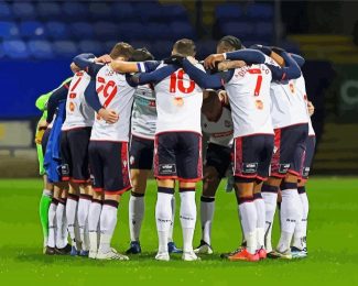 Bolton Wanderers Fc Players diamond painting