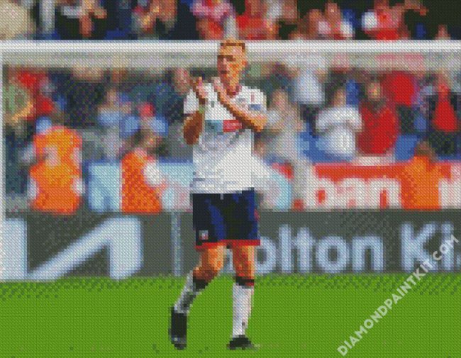 Bolton Wanderers Player diamond painting