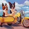 Boston Terrier Riding Motorcycle diamond painting