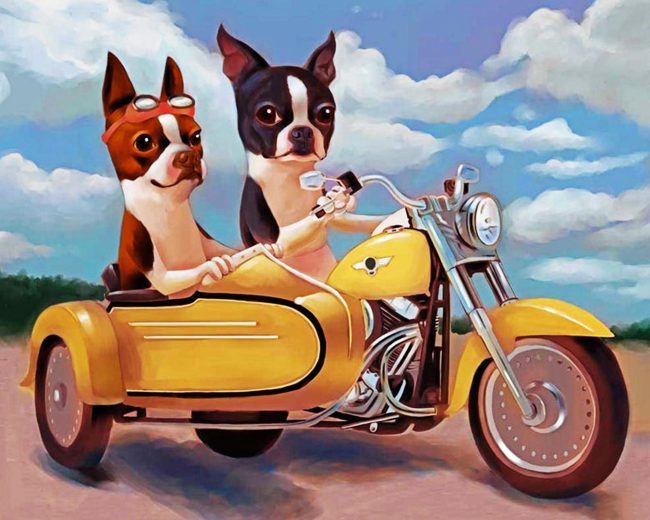 Boston Terrier Riding Motorcycle diamond painting