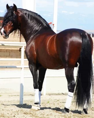 Brown Andalusian Horse diamond painting