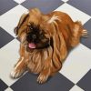 Brown Pekingese Dog diamond painting