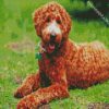 Brown Labradoodle diamond painting