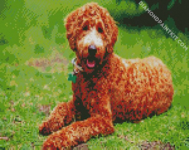 Brown Labradoodle diamond painting