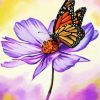 Butterfly On Cosmos Diamond painting