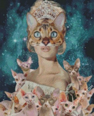 Cat Lady Diamond painting