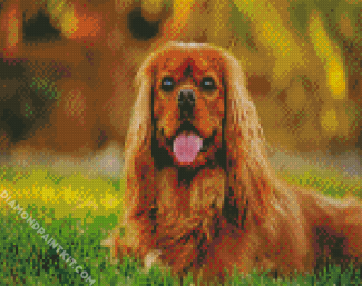 Cavalier King Charles Spaniel diamond painting