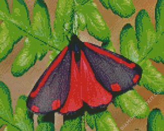 Cinnabar Moth diamond painting