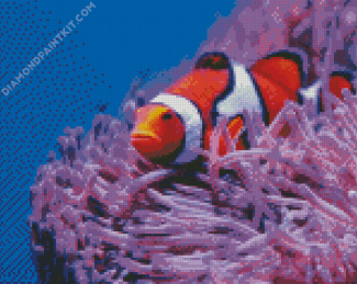 Clown Fish And Anemones diamond painting