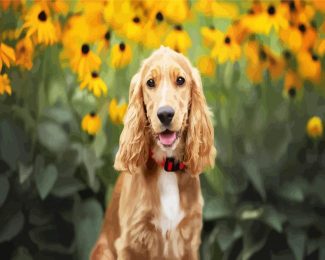 Cocker-Spaniel diamond painting