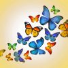 Colored Butterflies diamond painting