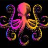 Colorful Octopus diamond painting