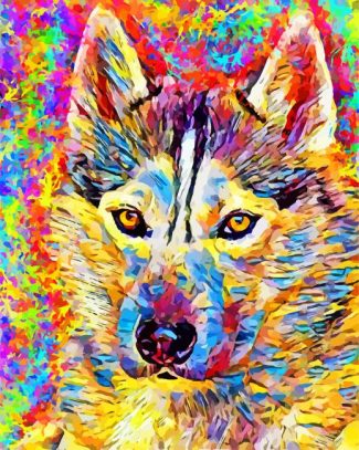 Colorful Pomsky Diamond painting