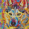 Colorful pomsky diamond painting