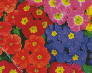 Colorful Primrose Flowers diamond painting