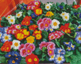 Colorful Primrose diamond painting