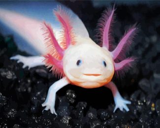 Cute Axolotl diamond painting