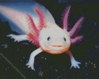 Cute Axolotl diamond painting