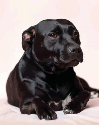 Dark Brown Staffordshire Bull Terrier diamond painting