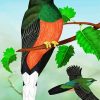 Eared Quetzal Bird Art diamond painting