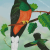 Eared Quetzal Bird Art diamond painting