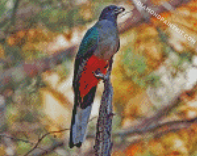 Eared Quetzal Bird diamond painting