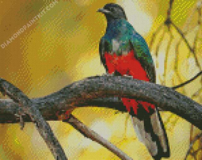 Eared Quetzal diamond painting