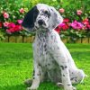 English Setter Dog diamond painting