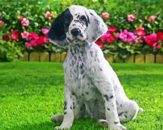 English Setter Dog diamond painting