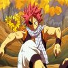 Fairy Tail Anime Natsu Dragneel diamond painting