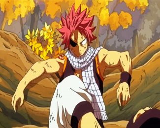 Fairy Tail Anime Natsu Dragneel diamond painting