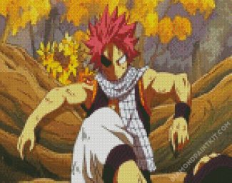 Fairy Tail Anime Natsu Dragneel diamond painting