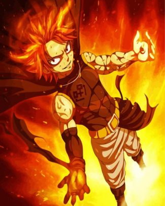 Fairy Tail Natsu Dragneel diamond painting