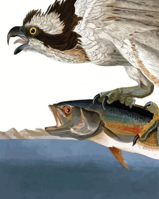 Fish Hawk Or Osprey By John James Audubon diamond painting