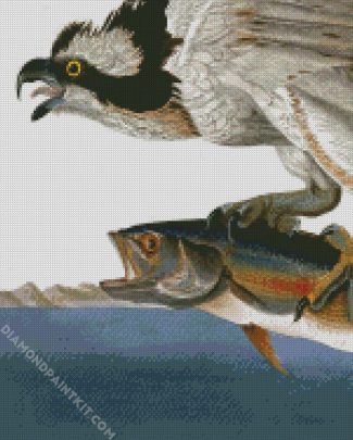 Fish Hawk Or Osprey By John James Audubon diamond painting